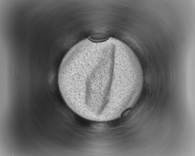 X0000095960079200802011130