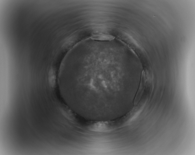 X0000095960080200802011130