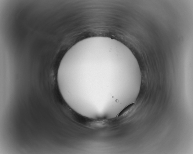 X0000095960086200802011130