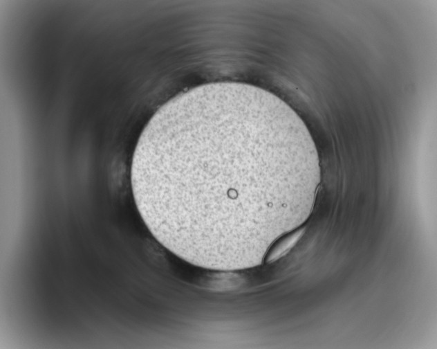 X0000095960087200802011130