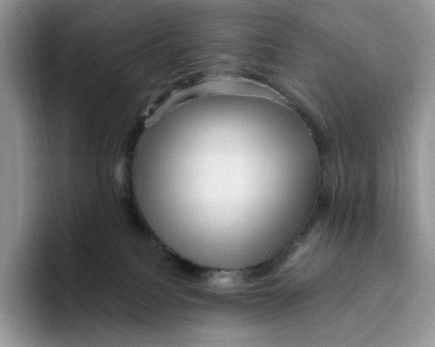 X0000095960088200802011130