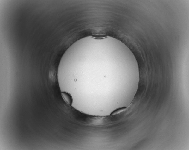 X0000095960090200802011130