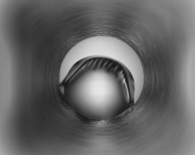 X0000095960092200802011130