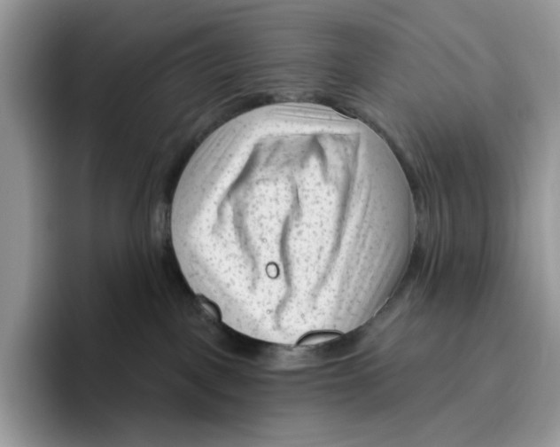 X0000095960093200802011130