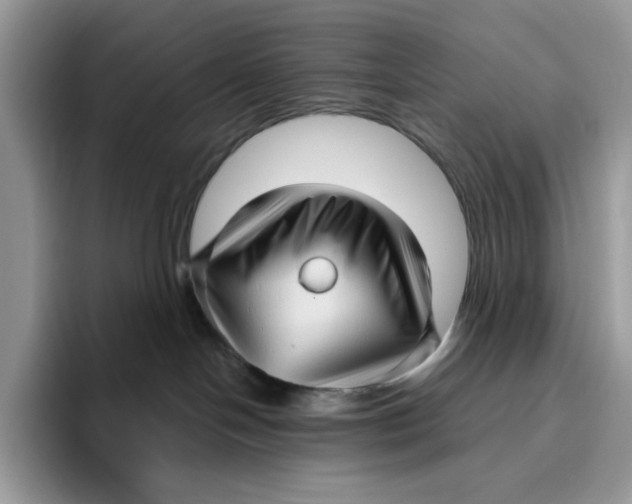 X0000095960094200802011130