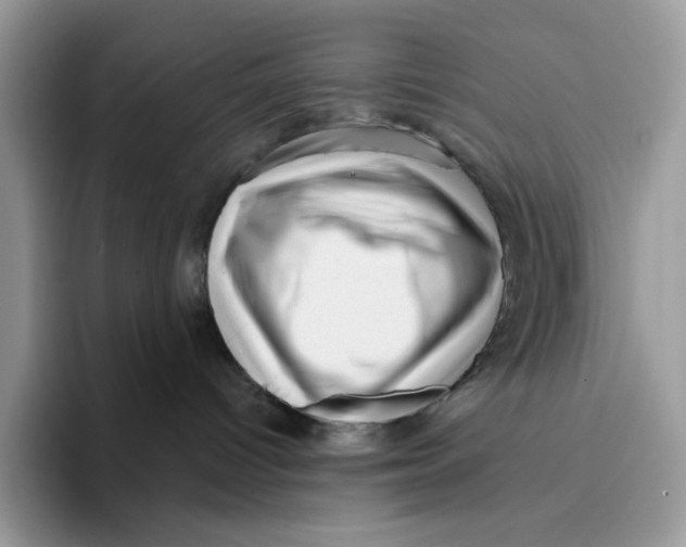 X0000095960096200802011130