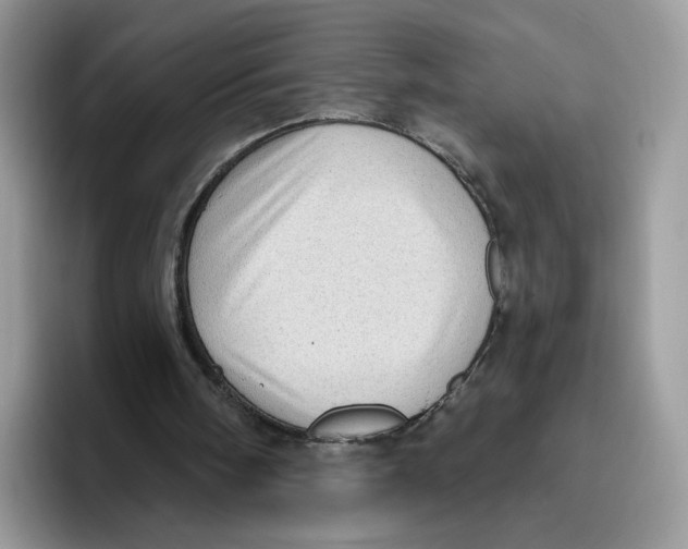 X0000095960098200802011130