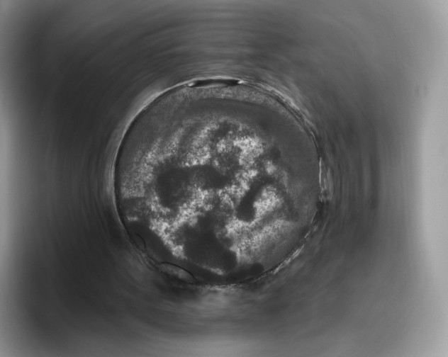 X0000095960099200802011130