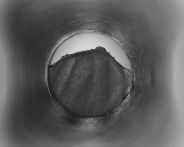 X0000095960100200802011130