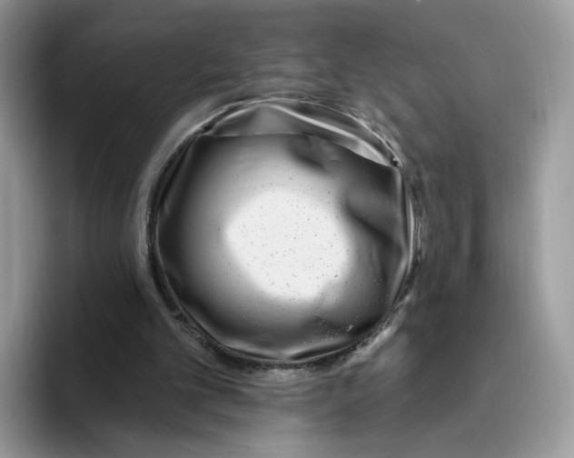 X0000095960101200802011130