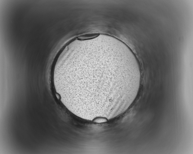 X0000095960103200802011130