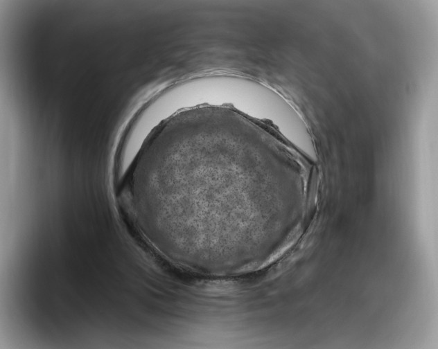 X0000095960104200802011130