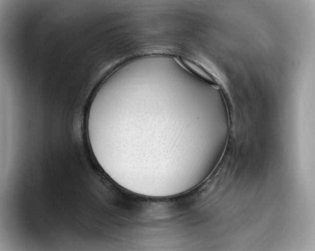 X0000095960107200802011130