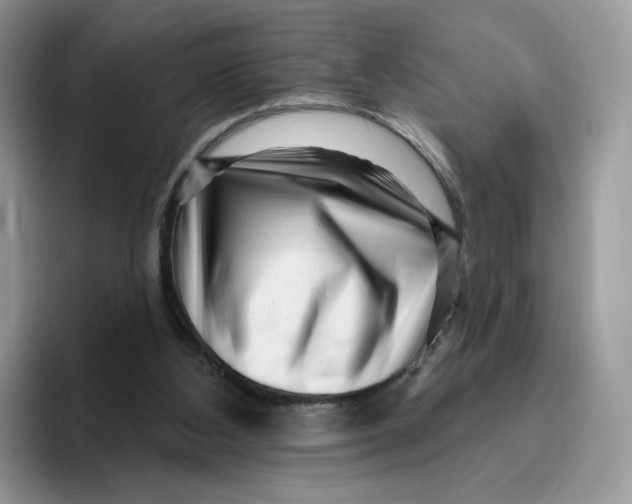 X0000095960108200802011130