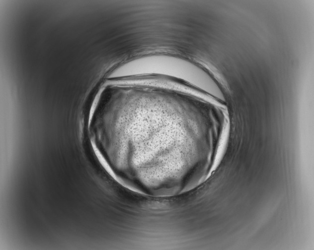 X0000095960110200802011130