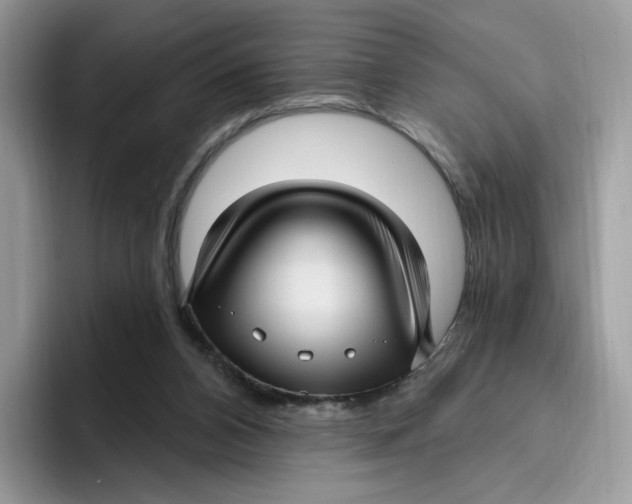 X0000095960112200802011130