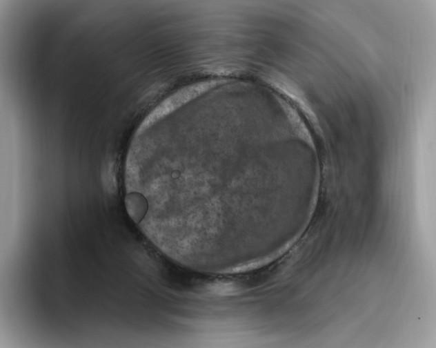 X0000095960114200802011130