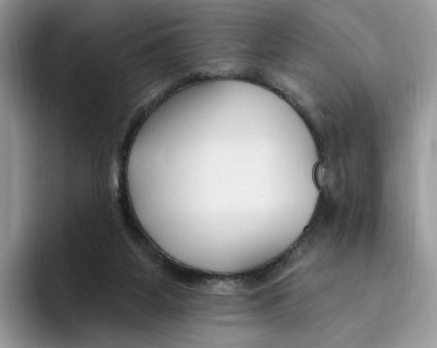 X0000095960115200802011130