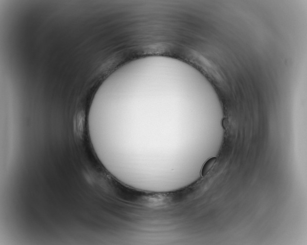 X0000095960118200802011130