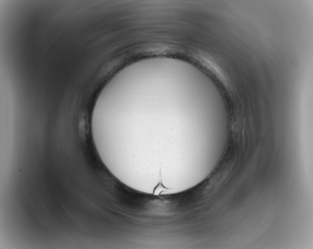 X0000095960119200802011130