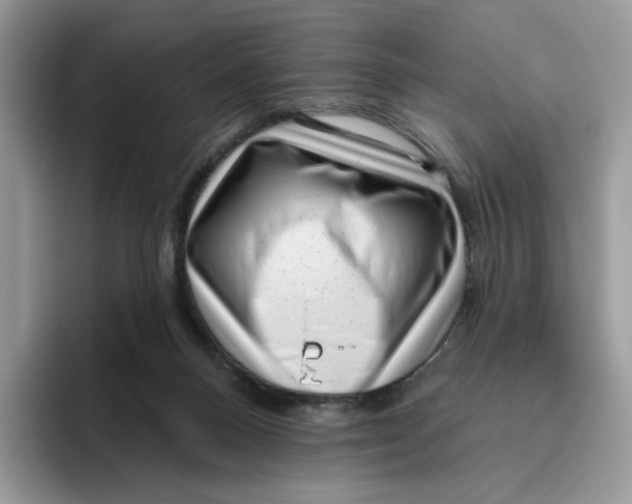 X0000095960120200802011130