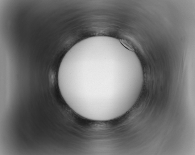 X0000095960123200802011130