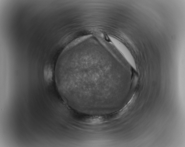 X0000095960124200802011129