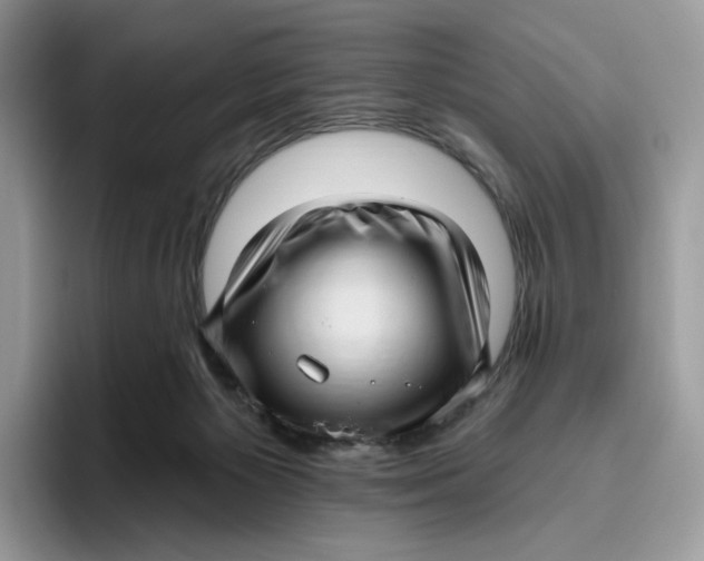 X0000095960125200802011129