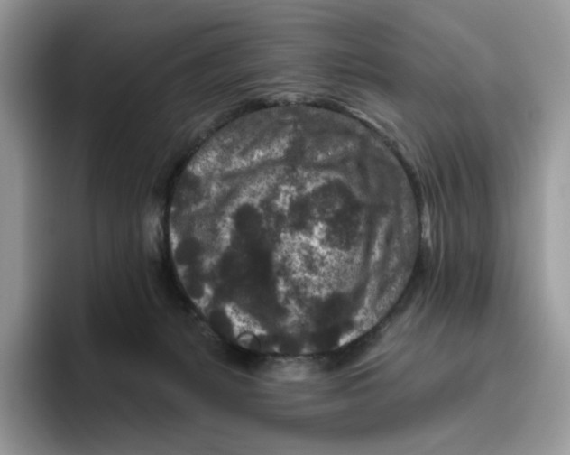 X0000095960127200802011129