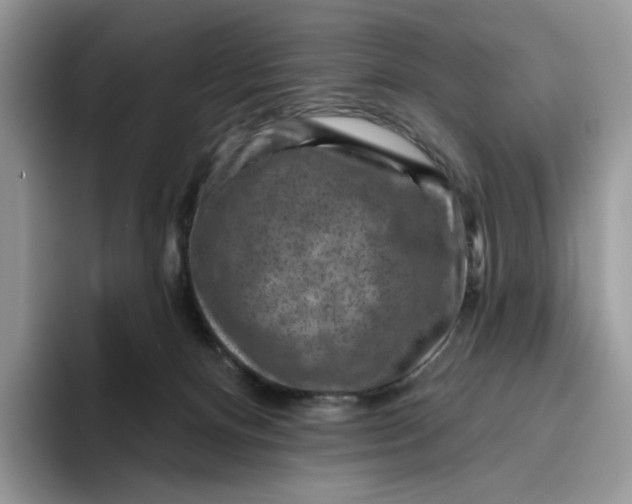 X0000095960128200802011129