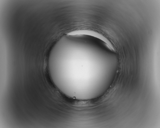 X0000095960129200802011129