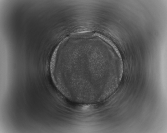 X0000095960130200802011129