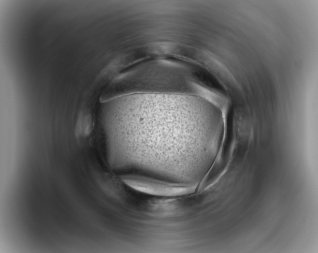 X0000095960132200802011129