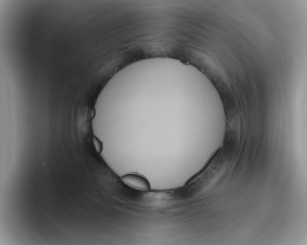 X0000095960133200802011129