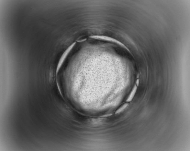 X0000095960134200802011129