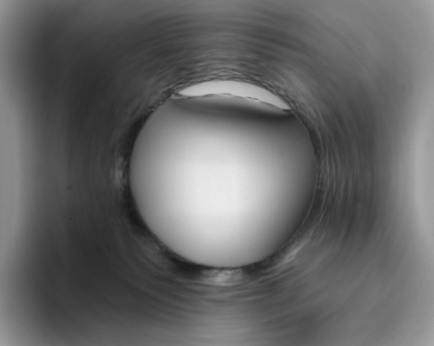 X0000095960135200802011129