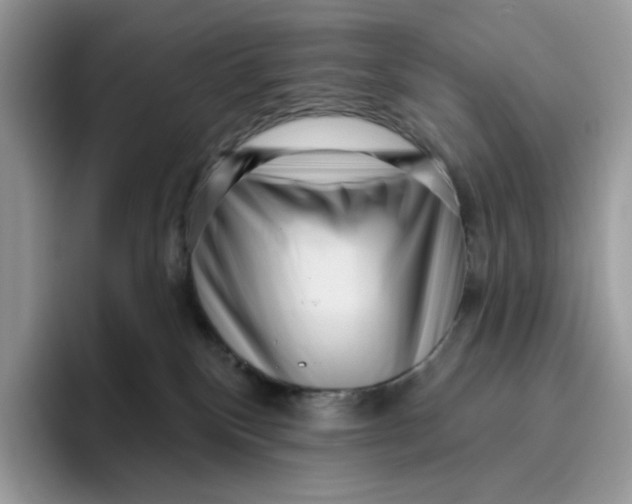 X0000095960136200802011129