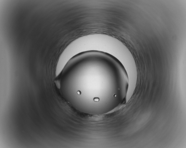 X0000095960138200802011129