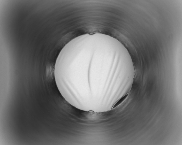 X0000095960142200802011129