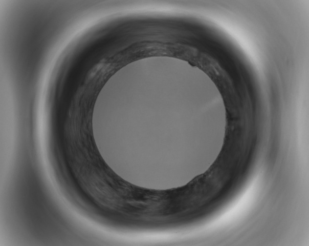 X0000095960143200802011129