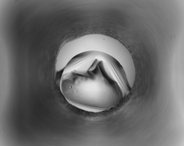 X0000095960144200802011129