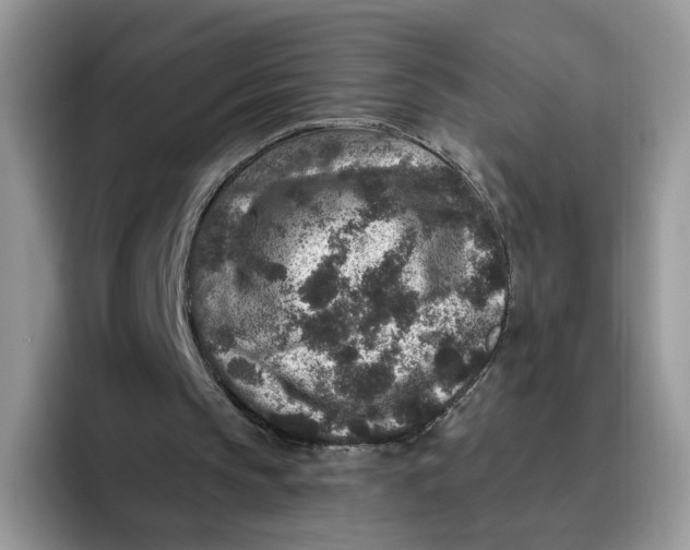 X0000095960145200802011129