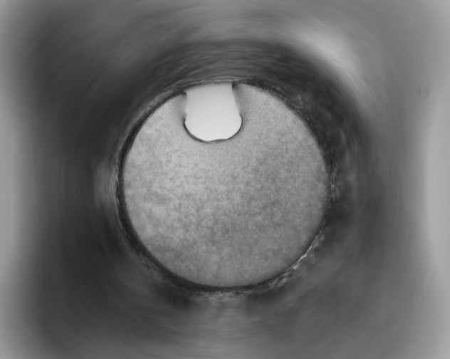 X0000095960146200802011129