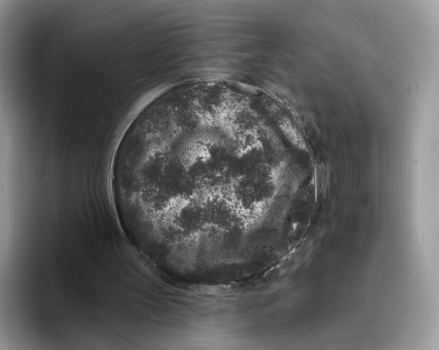 X0000095960147200802011129