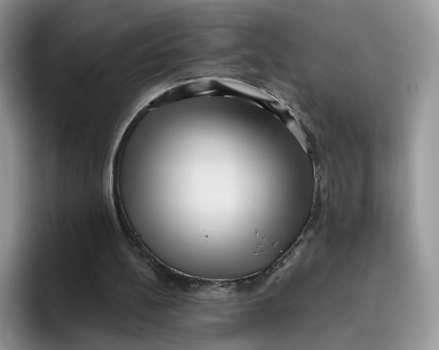 X0000095960148200802011129