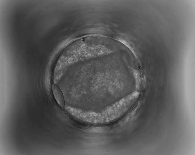 X0000095960149200802011129