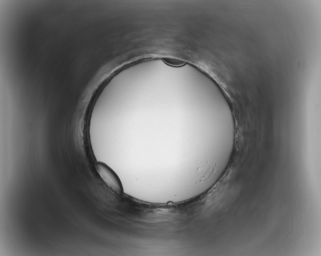 X0000095960151200802011129