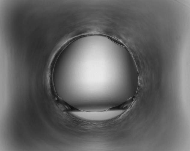 X0000095960152200802011129