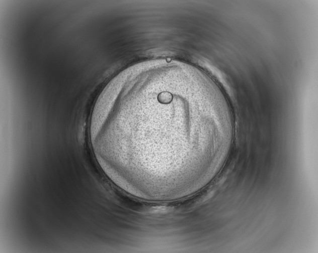 X0000095960153200802011129