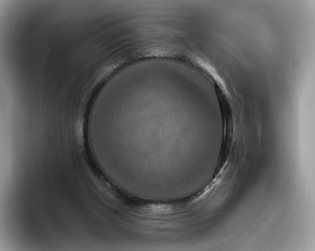 X0000095960154200802011129